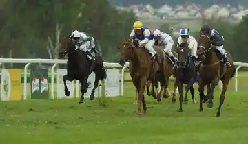 AGROFERT Steeplechase
