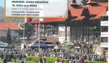 Dostihy