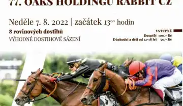 77. OAKS HOLDINGU RABBIT