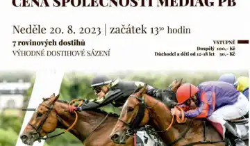 Cena společnosti MEDIAG PB