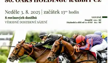 80. OAKS HOLDINGU RABBIT CZ