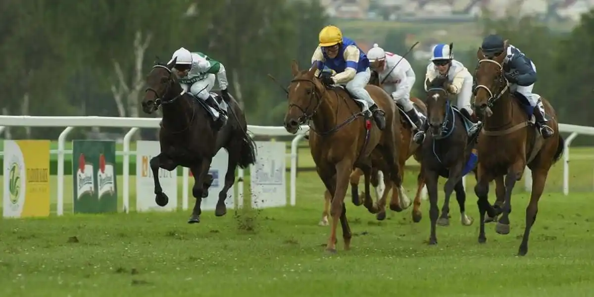 AGROFERT Steeplechase