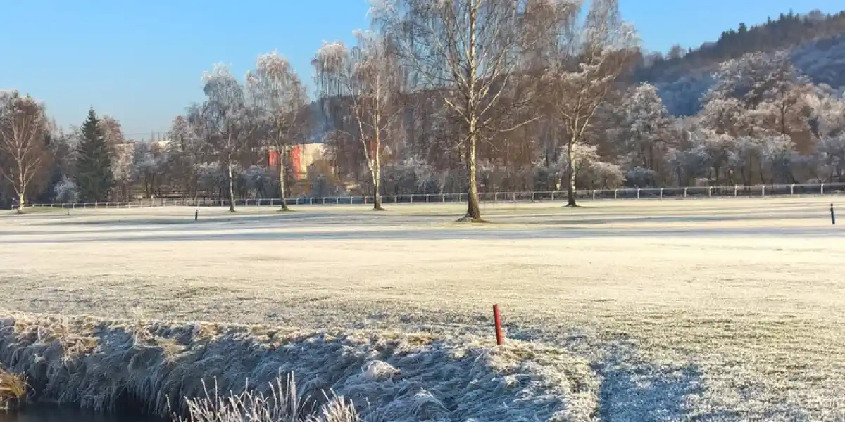Golfová recepce